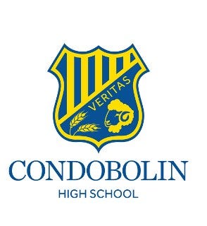 CHS_logo_RGB 1 (1).jpg